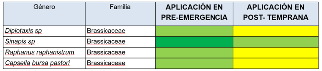 Eficacia de TRINITY a 2 L/ha sobre malas hierbas de la familia Brassicas